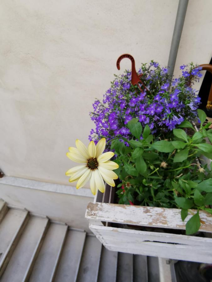 Casuzzamia Appartement Palermo Buitenkant foto